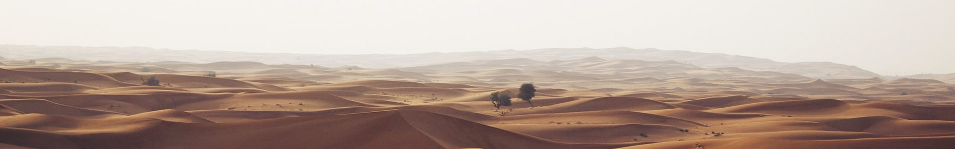 ݾùƼ޹˾